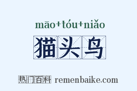 猫头鸟是什么意思的图片